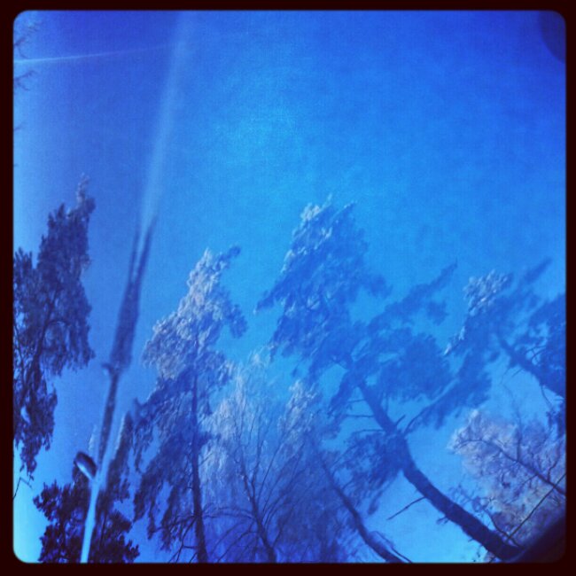 IMG_20130125_202528.jpg image